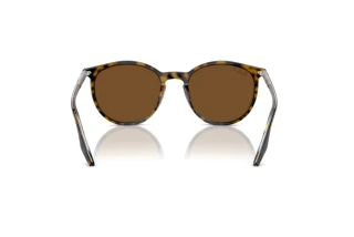 Rear view Ray-Ban RB2204 (139357)