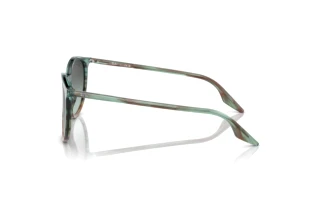 Side view Ray-Ban RB2204 (1394GK)