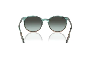 Rear view Ray-Ban RB2204 (1394GK)