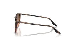 Side view Ray-Ban RB2204 (13953B)