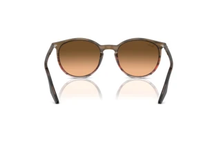 Rear view Ray-Ban RB2204 (13953B)