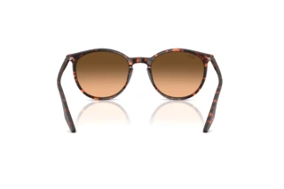 Rear view Ray-Ban RB2204 (14293B)