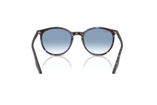 Rear view Ray-Ban RB2204 (14303F)