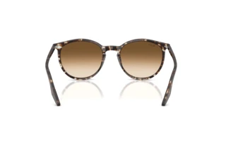 Rear view Ray-Ban RB2204 (143151)