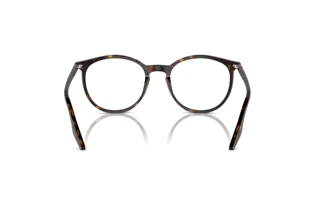 Rear view Ray-Ban RB2204 (902/GJ)