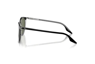 Side view Ray-Ban RB2204 (919/58)
