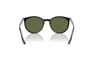 Rear view Ray-Ban RB2204 (919/58)