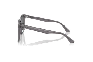 Side view Ray-Ban RB2206D (139987)
