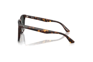 Side view Ray-Ban RB2206D (710/87)