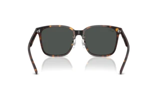 Rear view Ray-Ban RB2206D (710/87)