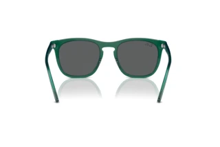 Rear view Ray-Ban RB2210 (6615B1)