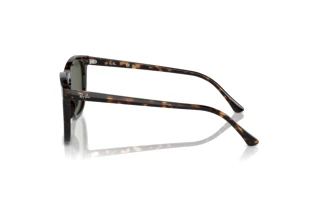 Side view Ray-Ban RB2210 (902/31)