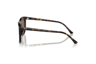 Side view Ray-Ban RB2210 (902/57)