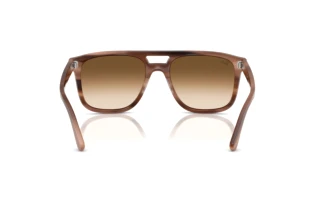 Rear view Ray-Ban RB2213 (142351)