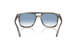 Rear view Ray-Ban RB2213 (14243F)