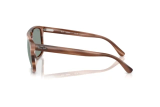 Side view Ray-Ban RB2213CH (1423O9)