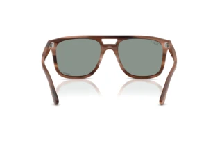 Rear view Ray-Ban RB2213CH (1423O9)