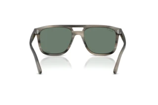 Rear view Ray-Ban RB2213CH (14243R)