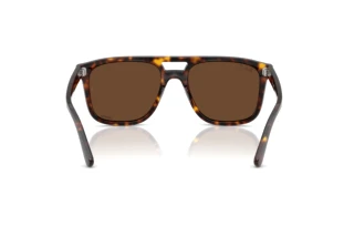 Rear view Ray-Ban RB2213CH (902/AN)