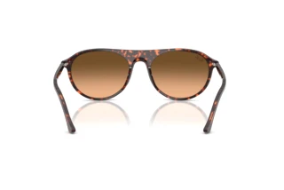 Rear view Ray-Ban RB2215 (14293B)