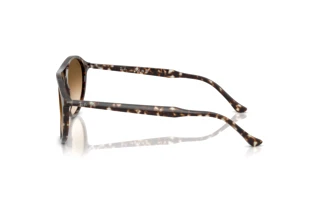 Side view Ray-Ban RB2215 (143151)