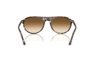 Rear view Ray-Ban RB2215 (143151)