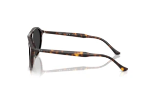 Side view Ray-Ban RB2215 (902/48)