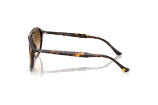 Side view Ray-Ban RB2215 (902/51)