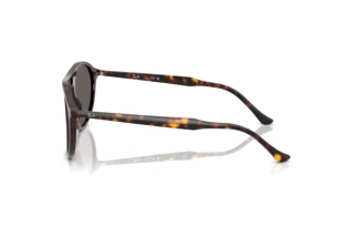 Side view Ray-Ban RB2215 (902/B1)