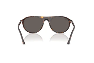 Rear view Ray-Ban RB2215 (902/B1)