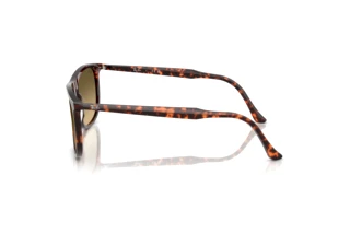 Side view Ray-Ban RB2216 (14290A)