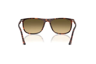 Rear view Ray-Ban RB2216 (14290A)