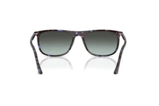 Rear view Ray-Ban RB2216 (1430GK)