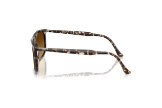 Side view Ray-Ban RB2216 (143185)