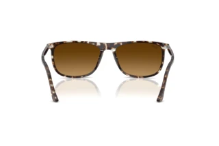 Rear view Ray-Ban RB2216 (143185)