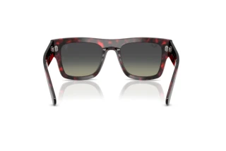 Rear view Ray-Ban RB2217M (F70511)
