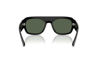 Rear view Ray-Ban RB2218 (667771)