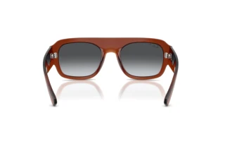 Rear view Ray-Ban RB2218 (6678T3)