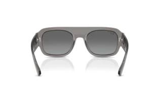 Rear view Ray-Ban RB2218 (668482)