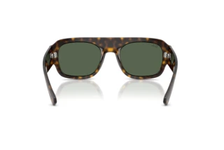 Rear view Ray-Ban RB2218 (679071)