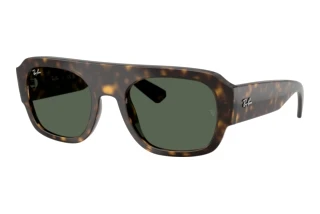 Front view Ray-Ban RB2218 (679071)