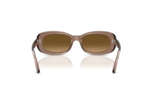 Rear view Ray-Ban RB2221 (6827M2)