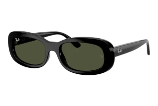 Front view Ray-Ban RB2221 (901/31)