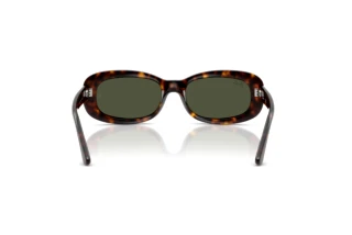 Rear view Ray-Ban RB2221 (902/31)