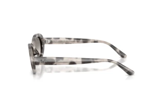 Side view Ray-Ban RB2223 (144832)
