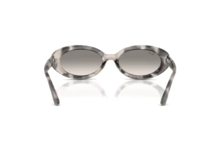 Rear view Ray-Ban RB2223 (144832)