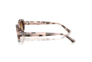 Side view Ray-Ban RB2223 (144951)