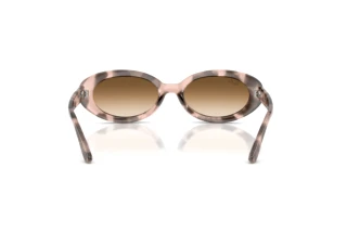 Rear view Ray-Ban RB2223 (144951)
