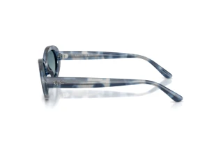 Side view Ray-Ban RB2223 (14503M)
