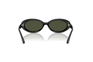 Rear view Ray-Ban RB2223 (901/31)